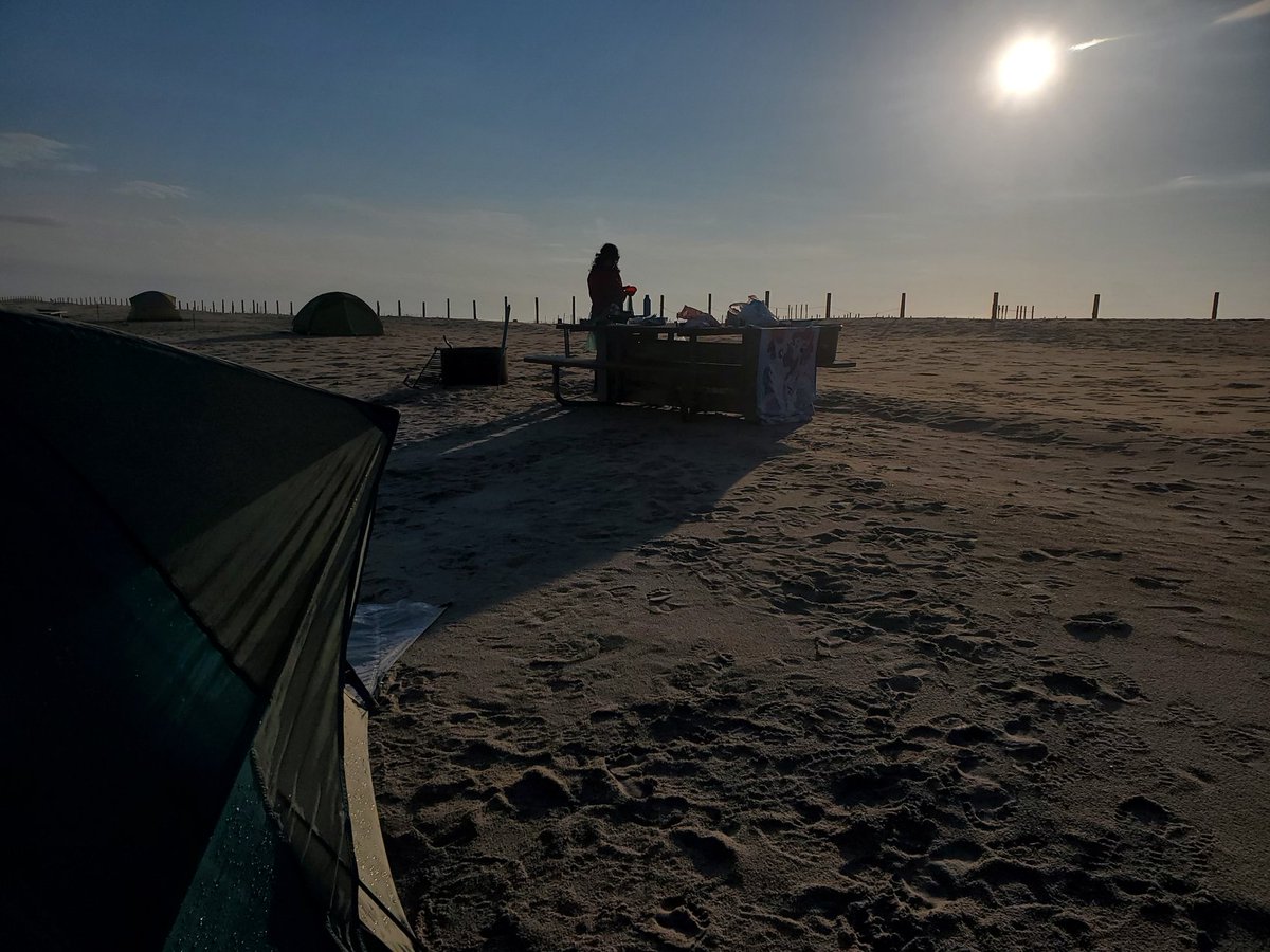 Bitgamer1's tweet photo. π΅Morning from #Assateague shimmers, Morning from #Seaquestria Shines and I know for absolute certain that Everything is going to be Fine!π΅ #Camping #SQF22 https://t.co/GK9TkRhGGp