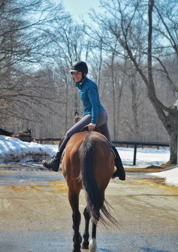 LongRunTB's tweet photo. Our dedicated and skilled farm crew are an integral part of LongRun's success, please read Tania's bio on our FB/IG accounts.
She is shown riding Fine Grind.
📸 James Gould
#ottb #barncrew #barn #thoroughbreds #farm https://t.co/IxZ9VxTlmp