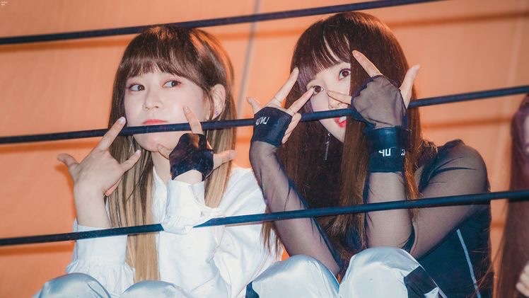 hourchebul's tweet photo. ↳🌷#해윤 #haeyoon #보라 #bora <3 
#체리블렛 #cherrybullet 
@cherrybullet https://t.co/H6QLm41BbP