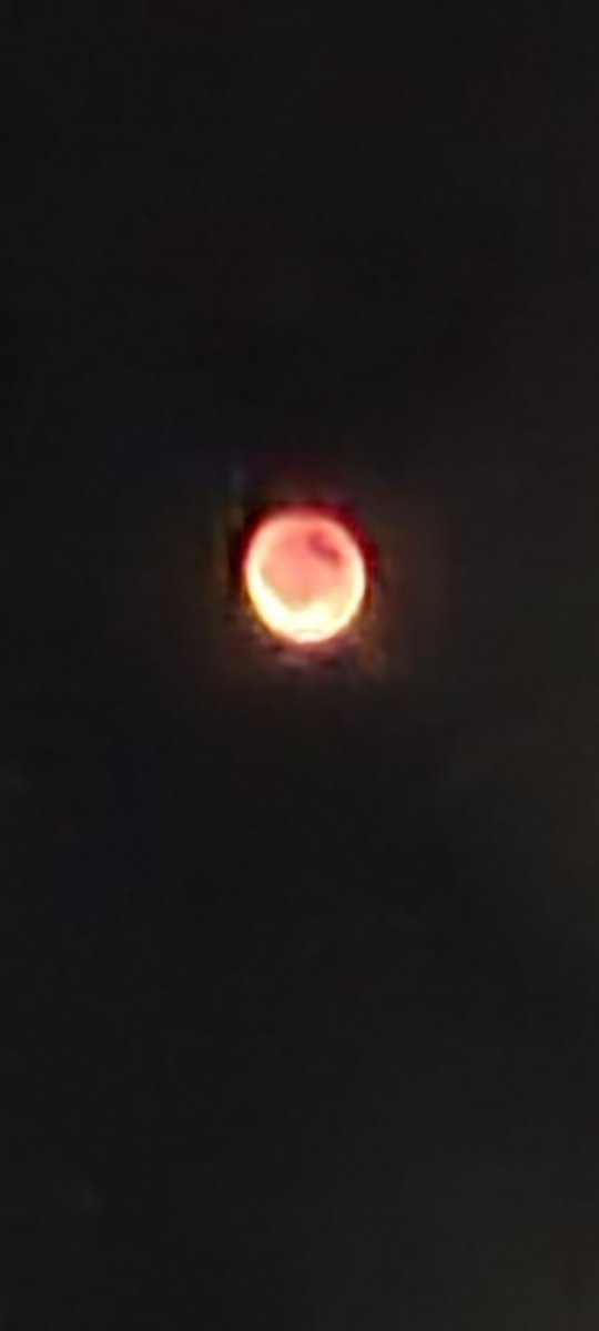 ClarkNovels's tweet photo. Happy blood moon lunar eclipse day from the East Coast. Perfect day to read a dystopian novel.๐
#BloodMoon
#eclipse
#fullmoon
#lunareclipse2022
#LunarEclipse
#bloodmooneclipse
#bloodmooneclipse2022
#readingbymoonlight
#wavesofdissonance
#dystopian
#novels https://t.co/A6sKzynMSS