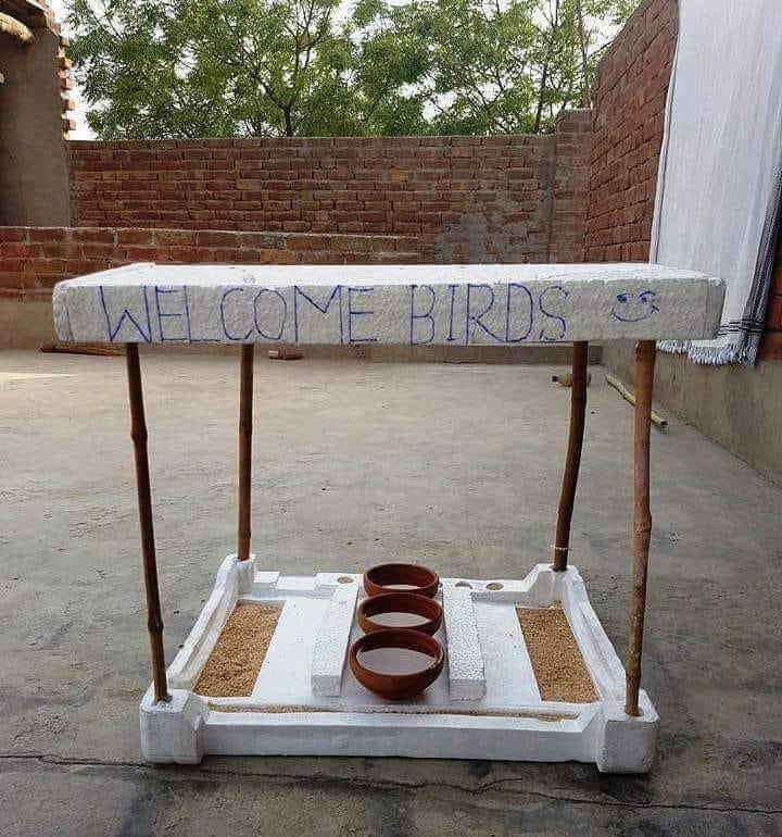 First thing everybody should do this Summer.!