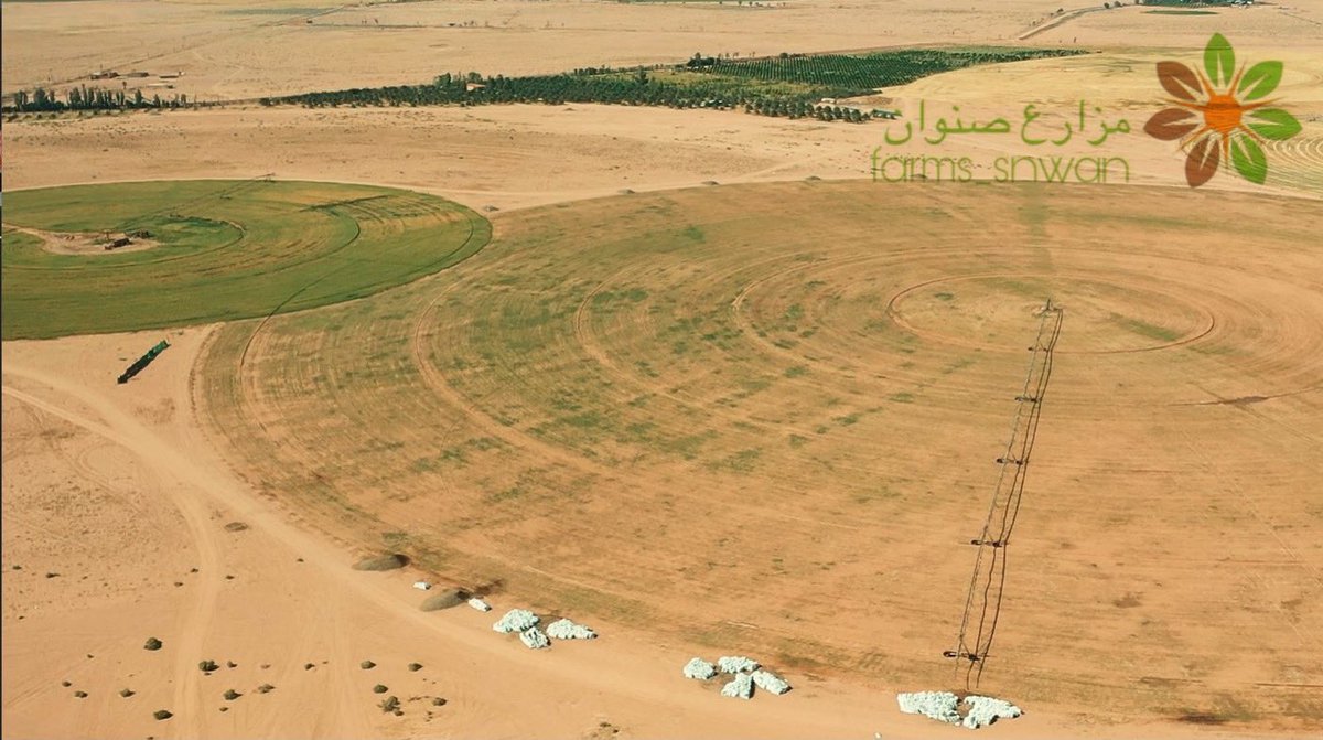 farms_snwan's tweet photo. صنوان قبل نمو المحاصيل🚜

#مزارع_صنوان https://t.co/CdHToeg3Cs