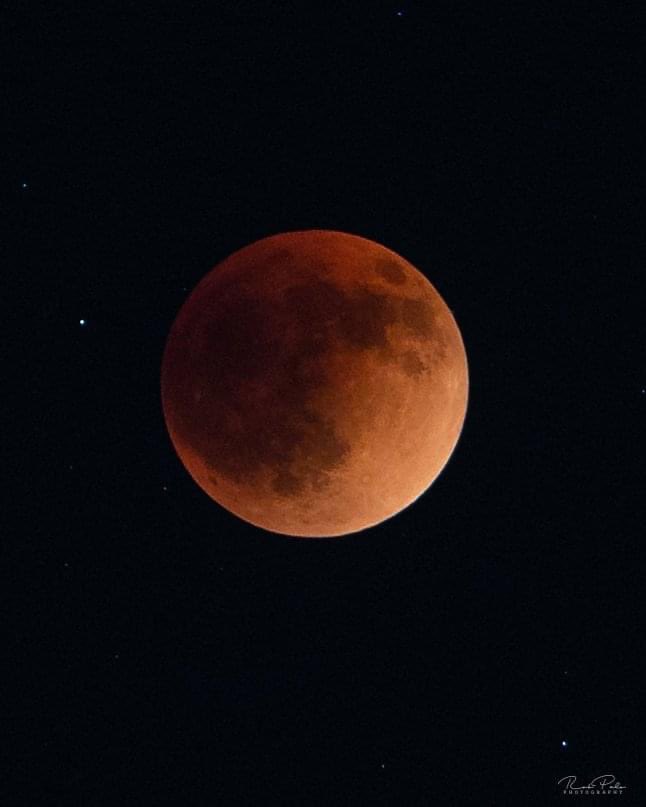 VisitSPC's tweet photo. Last night’s lunar eclipse as seen from St. Pete, Florida. Did you happen to see it? 🌚 #StPete #Florida #LunarEclipse 

Photo by: @Rob_Palo https://t.co/PSKX7PQ0LZ