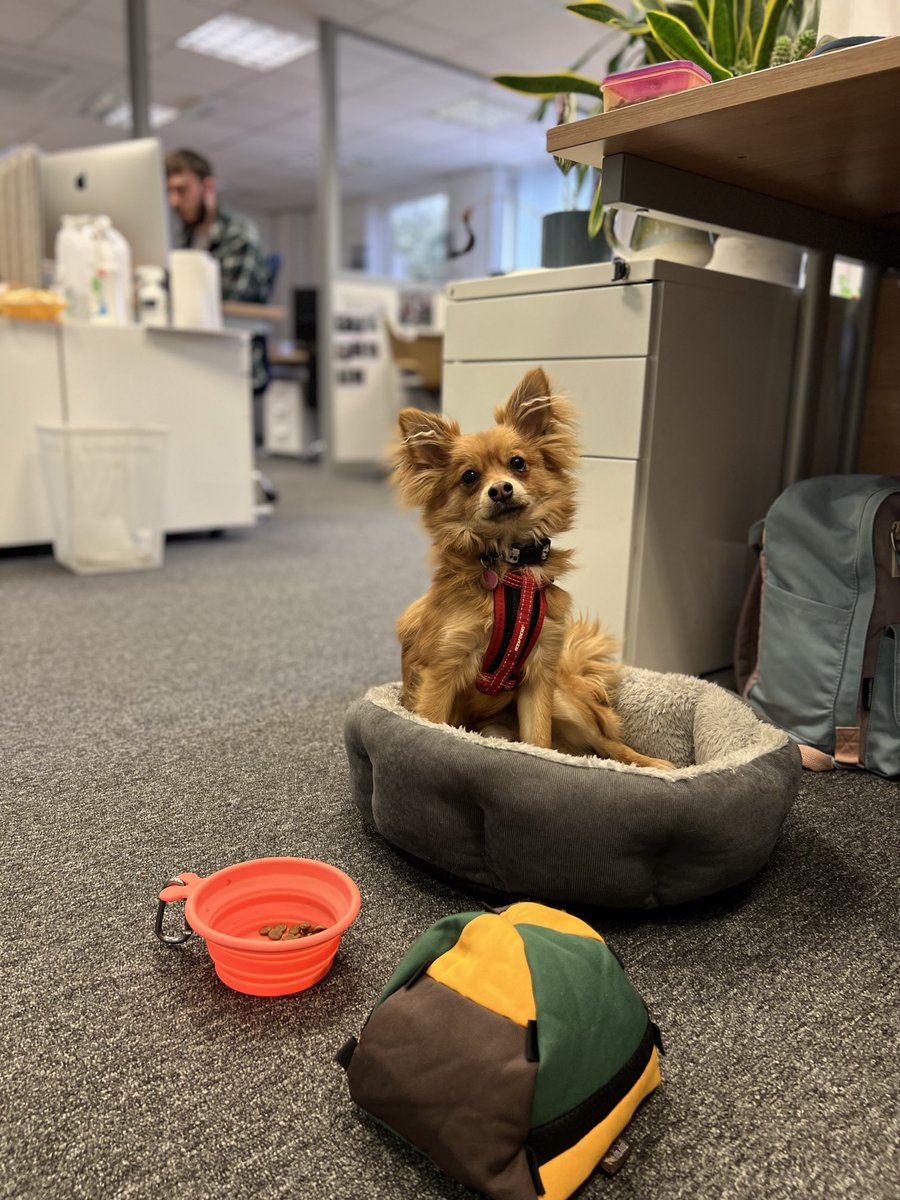 acumeforensic's tweet image. I line with our work towards ISO 17025 we have upgraded our physical security measures.
I’m not entirely convinced.