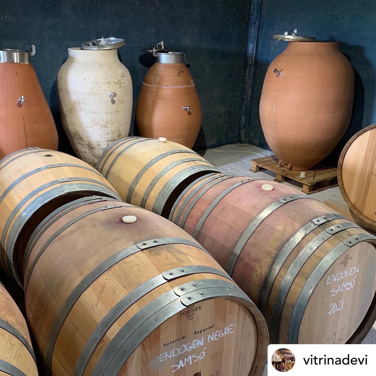 FincaMasPerdut's tweet photo. Petit resum de Mas Perdut en imatges!! Gràcies a Natalia Boada (@vitrinadevi a IG) seguiula! Es una crack en màrketing i comunicació!! #masperdutlifestyle #santaoliva #baixpenedes #vinsambamor #vinsdautor #lowintervention #limitededition #rawine #naturalwine #vinatural https://t.co/jqvznK5teb