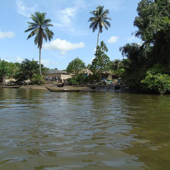 Madiba20161's tweet photo. A l'ombre de la ville.
un village de pêcheur #copongo dans la réserve de faune Douala-Edea menacé par la pollution plastique et les changements climatiques.
#Resilience #developpementdurable
#circulareconomy
#wildlife
#ForAGreenAndCleanWorld
learn more https://t.co/6Ebo0dlbgo https://t.co/xv9fAeZ15y