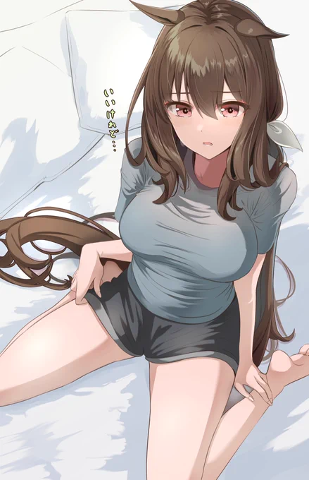 アヤベさん 
