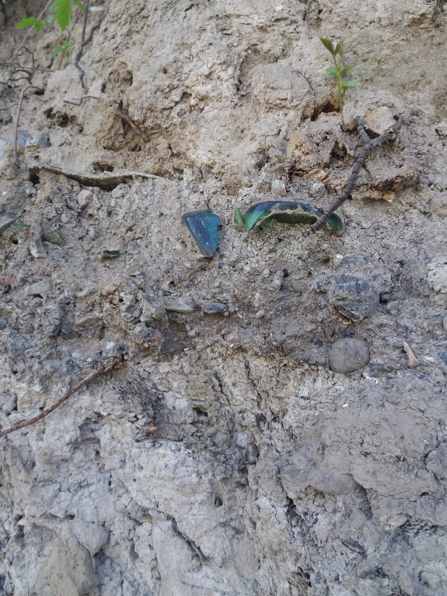 Maciej Liro tweet media