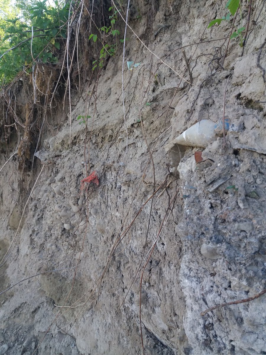 Maciej Liro tweet media