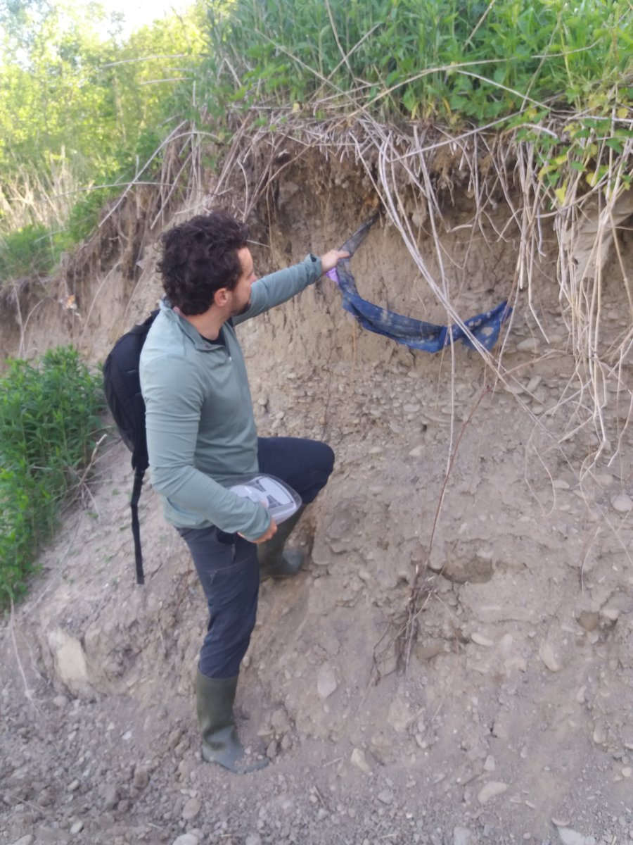 Maciej Liro tweet media