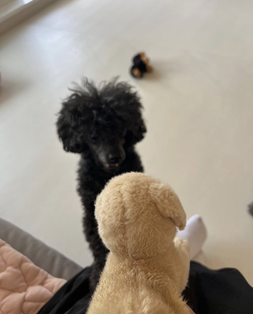 DohKyungsooINA's tweet image. [PIC] 220516 Foto terbaru Meokmul &amp;amp; Hoochoo 🥰

Via kyungjasooo 

#엑소디오 #도경수 #디오 #DO (D.O.) #KYUNGSOO