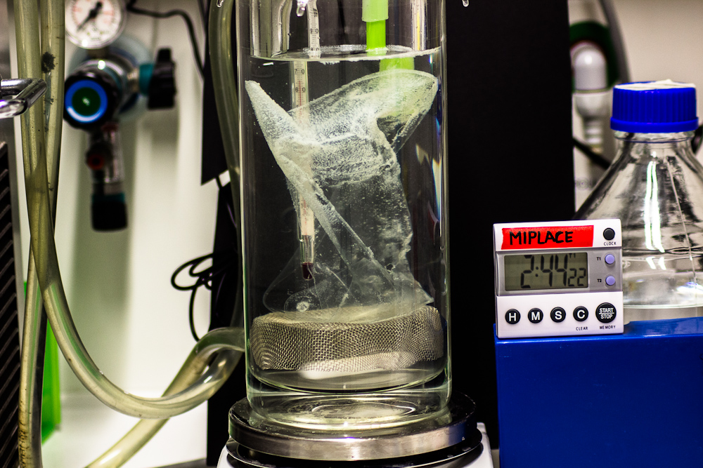 UNIVERSITÄT LEIPZIG tweet media