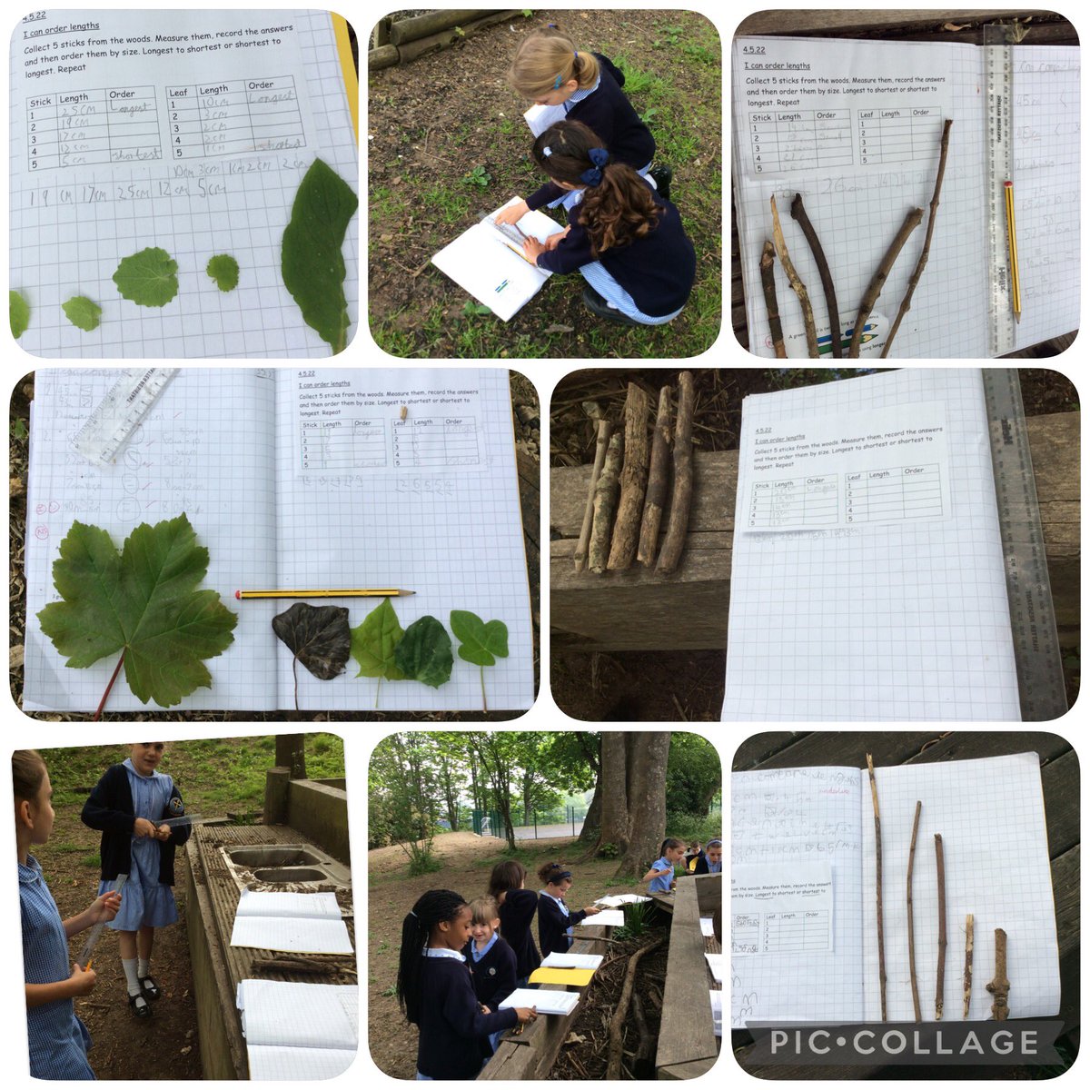 Saint Aidan's tweet media