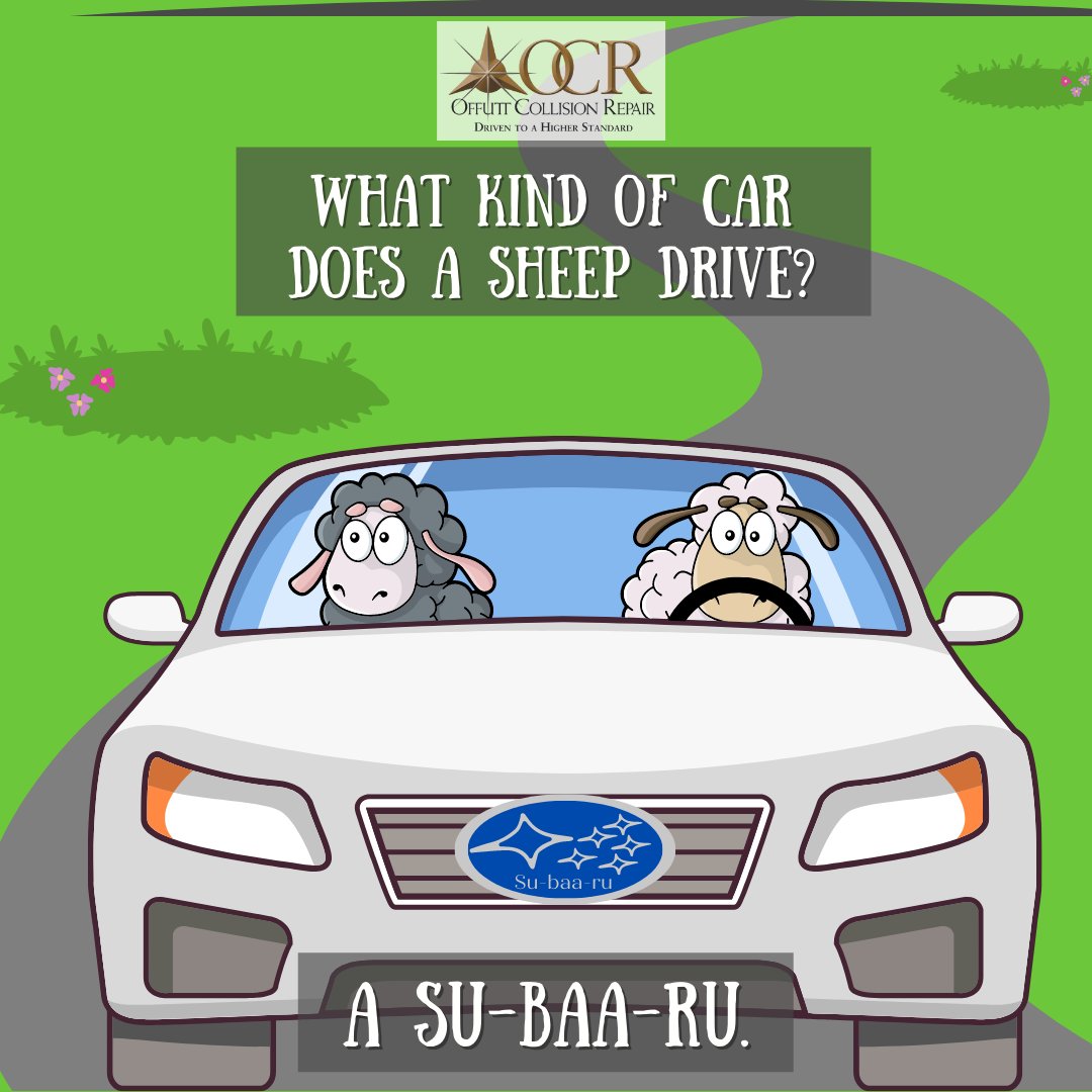 OffuttCollision's tweet photo. Did you know that we are a Subaru Certified Collision shop? Our Customers love us and often leave us reviews such as, "Offutt Collision is the best baa far!" #CollisionRepair #Subaru #SubaruCertifiedCollision #OffuttCollisionRepair #OCR #LocallyOwned #Wehavejokes #Customerservice https://t.co/qqdKcppEy1