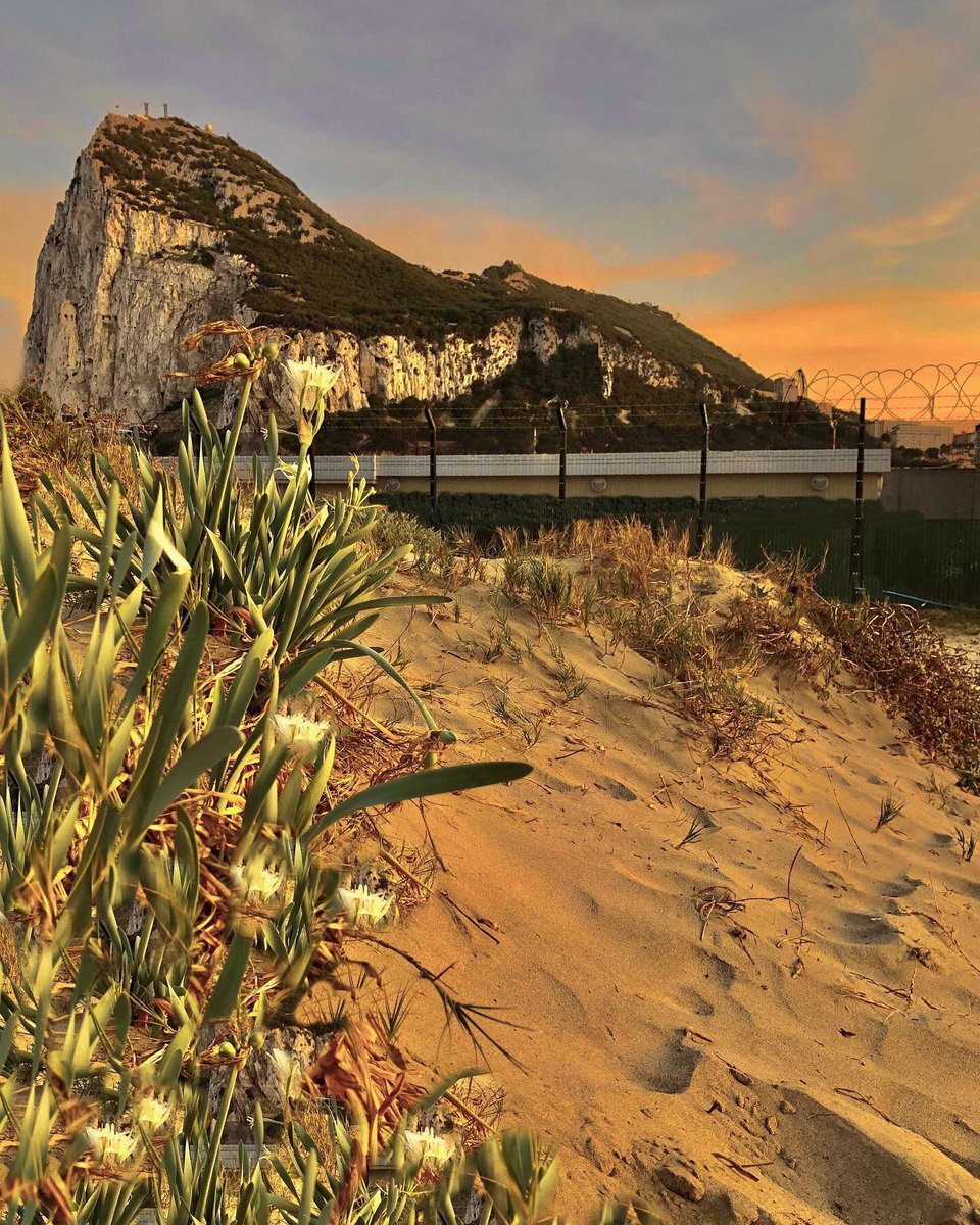 Western Beach…

Book a getaway at mygibraltar.co.uk 

Image by @mariogarcia431 (IG)👌

#gibraltar #mygibraltar #visitgibraltar #westernbeach #rockofgibraltar #holiday #summerholidays #beach #sunset #travel #getaway #summerbreak