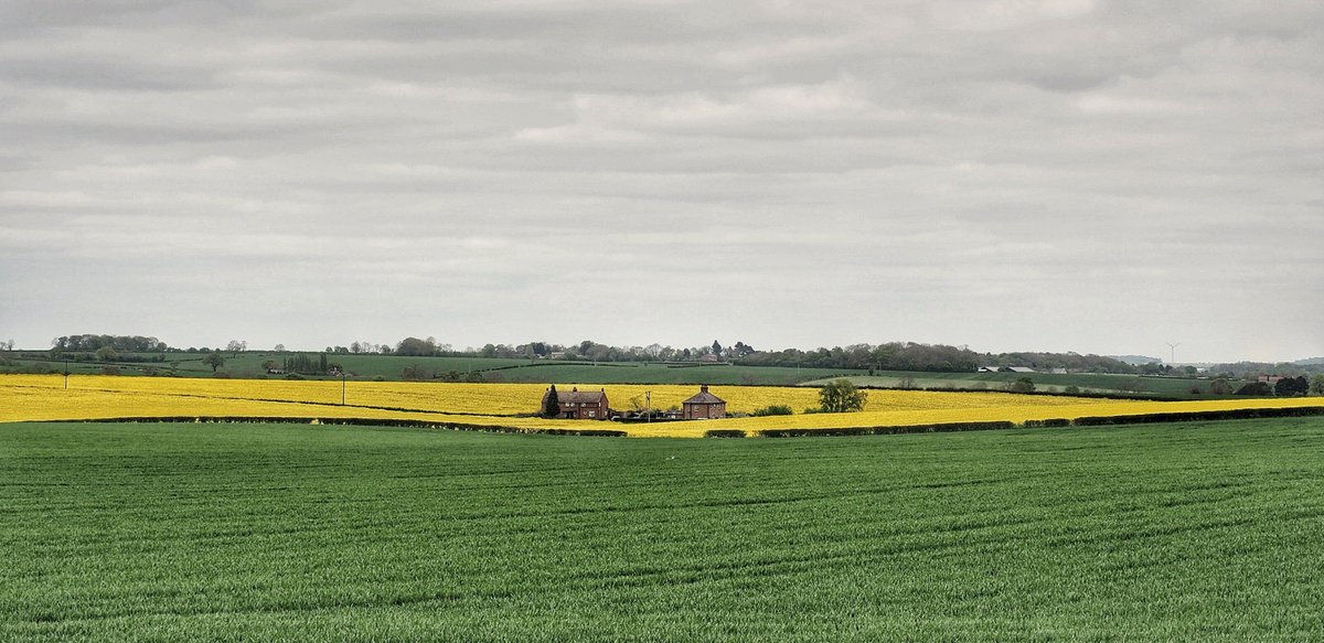 Blipfoto's tweet photo. It's BCSplash time again!
This wonderful rural scene with that stunning sliver of yellow works perfectly for our cover photo this week. Thank you, BlackTulip, for using the #BCsplash tag - it's a beauty!
Read more about this week's cover photo here:
https://t.co/YqCKVe8c45 https://t.co/AmFpSsqqpe