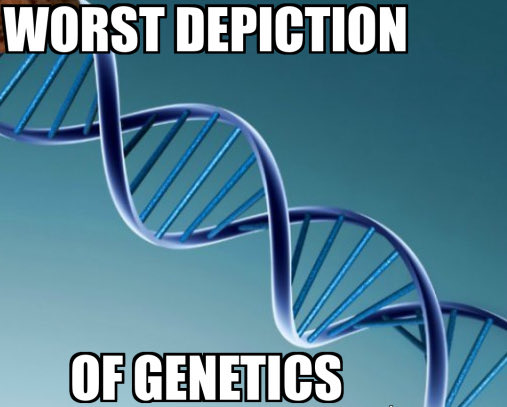 brainamerica's tweet photo. To an RNA biochemist….

#RNA 
#genetics
#DNA
#isRNAdoublestranded
#brainamerica

@brainamerica https://t.co/sP3LX8zdEq