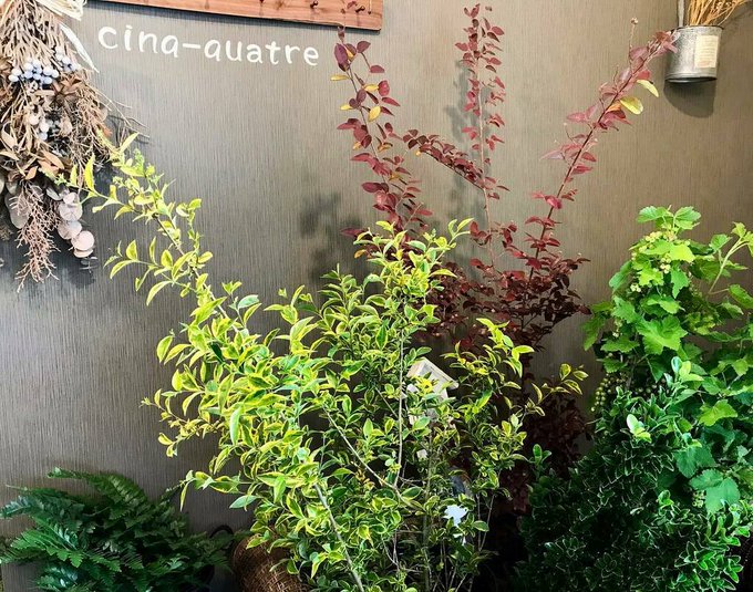 Cinq Quatre サンクキャトル 尼崎のフラワーショップ