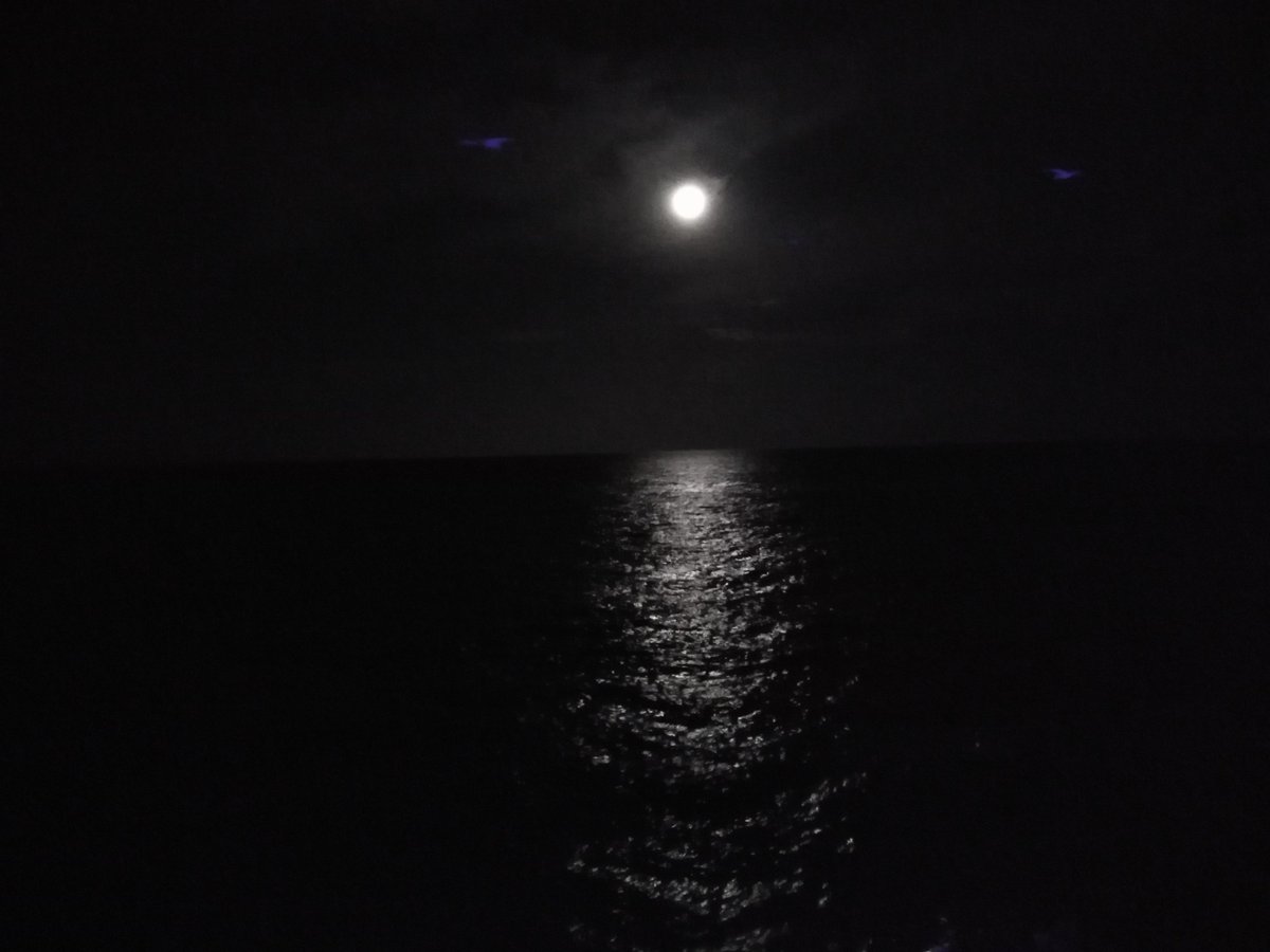 BHARES4's tweet photo. Los compañeros del equipo de geología trabajan noche tras noche para conseguir la batimetría que nos permita trabajar con el trineo fotográfico #TASIFE.
🗾⛰️Éste sacrificio nocturno a veces tiene su recompena y anoche, ¡lograron ver el #EclipseLunar2022 !🌖✨@IEOoceanografia https://t.co/dwwJUxUHg0