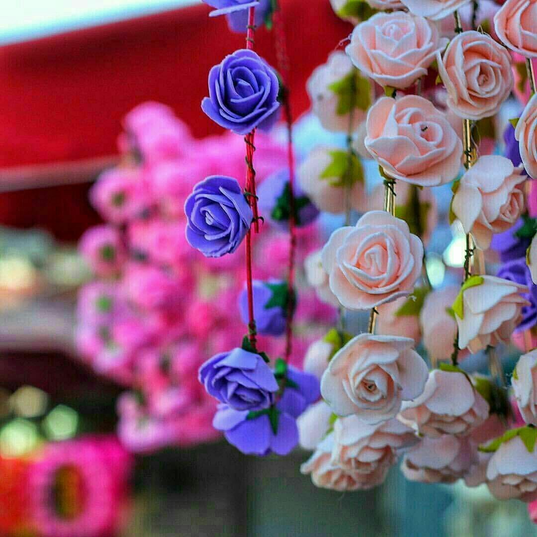 هنالك ما يسمى اشباه الورد !