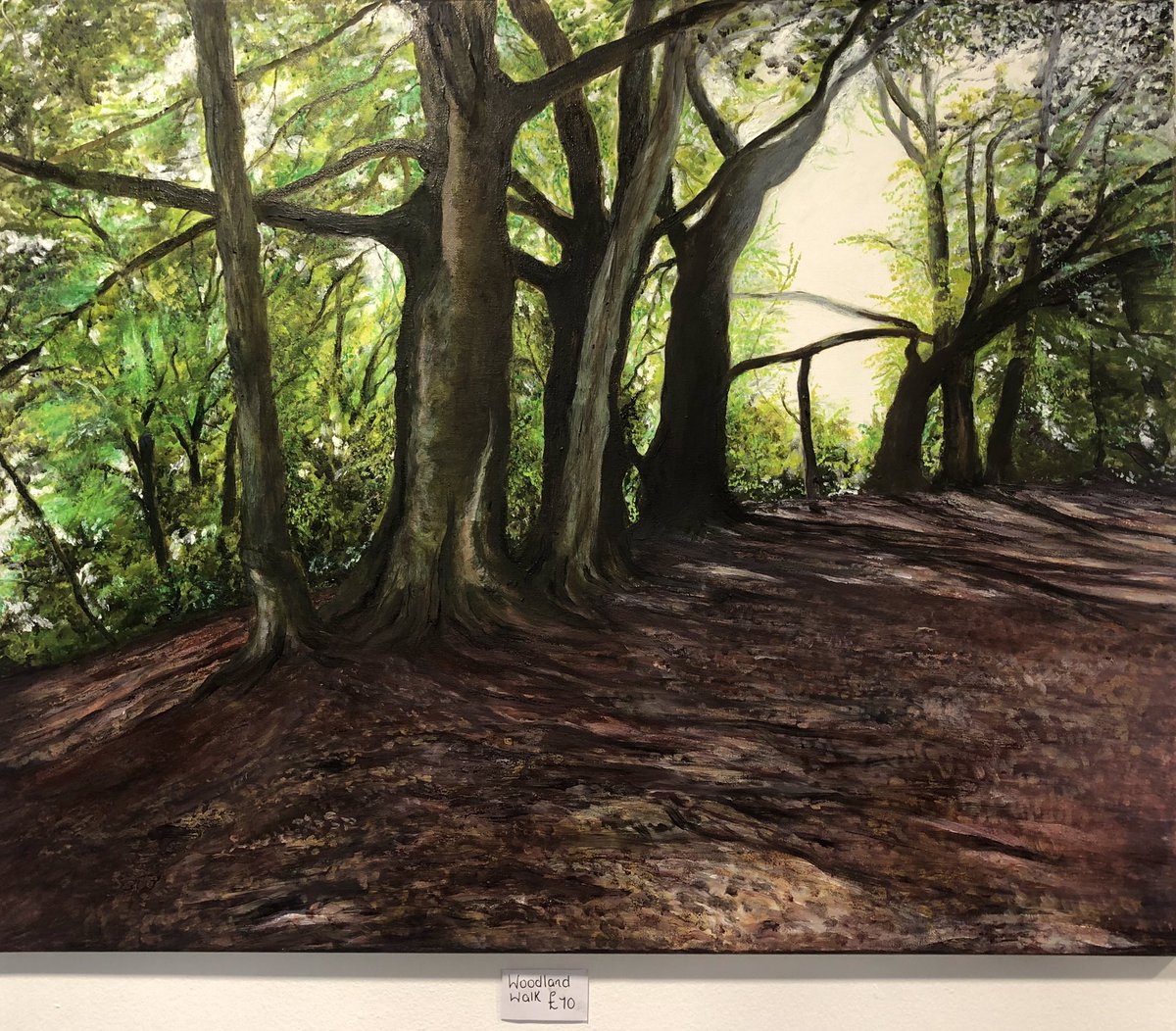 tmc_sh's tweet photo. Carol Anne Eaves is exhibiting her oil paintings again. Get back to nature! #oilpainting #art #exhibition #CafeMillais #trees #woodland @whatsonsthelens https://t.co/uy9B1uYYvU
