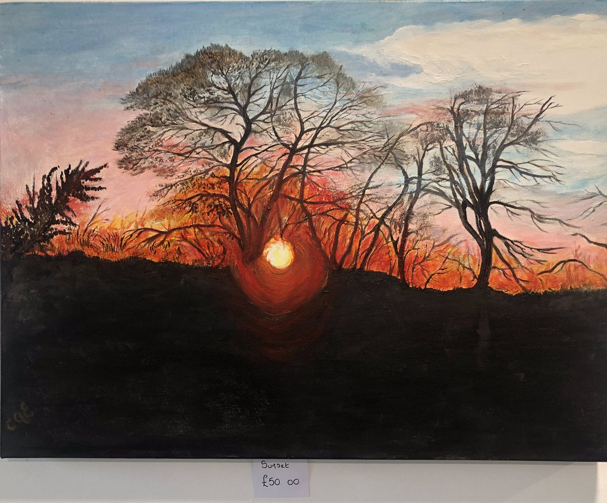 tmc_sh's tweet photo. Carol Anne Eaves is exhibiting her oil paintings again. Get back to nature! #oilpainting #art #exhibition #CafeMillais #trees #woodland @whatsonsthelens https://t.co/uy9B1uYYvU