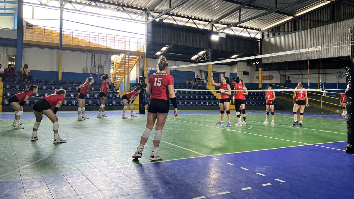 BallStateWVB's tweet photo. Some travel, some wildlife, some volleyball, and some dancing fun!!!

We’ve made it to Costa Rica

#ChirpChirp x #WeFly https://t.co/xwWDIZ0yw9