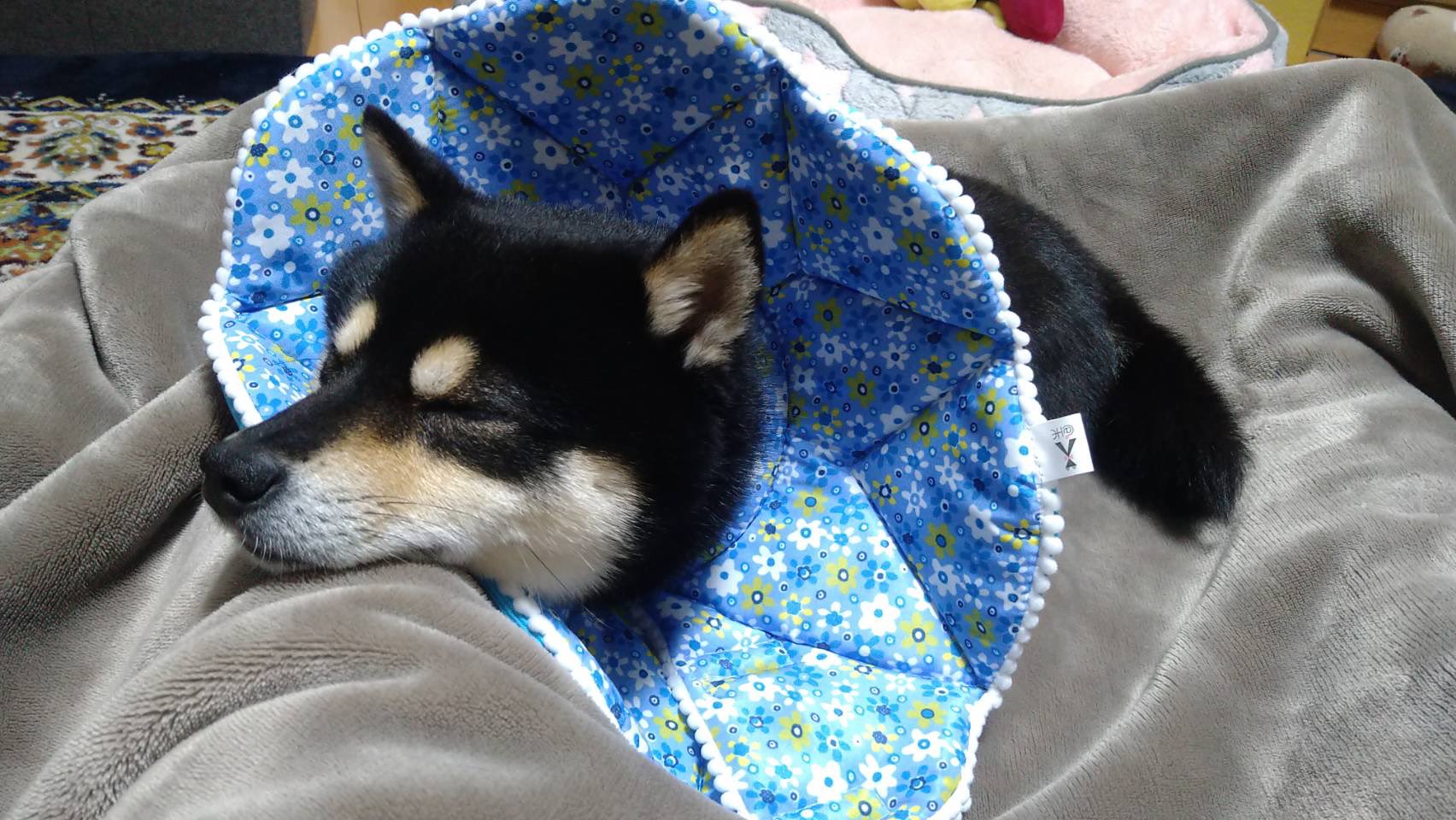 指間炎 Twitter Search Twitter