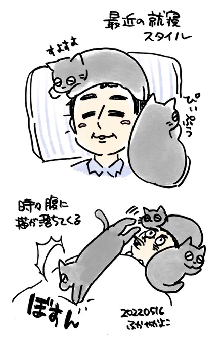 寝床をベッドにしたら猫が付いてきたんです。
#猫がいる生活 