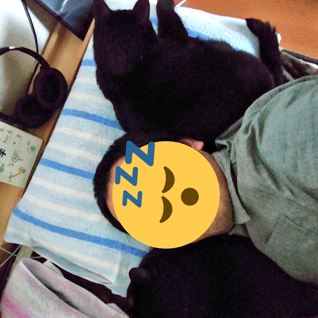 寝床をベッドにしたら猫が付いてきたんです。
#猫がいる生活 