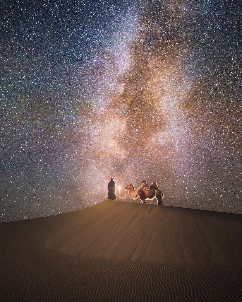 earthcurated's tweet photo. Gobi desert, Mongolia ✨ https://t.co/4fvVlUfeM5
