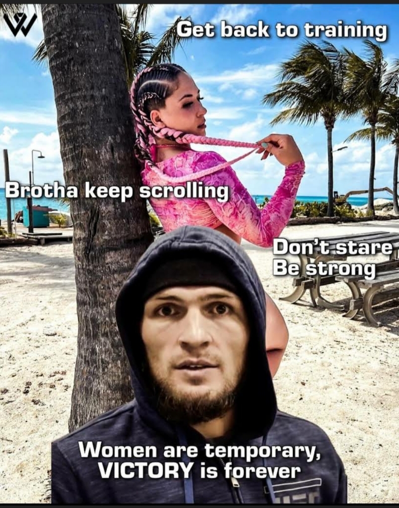 0Cometcowboy's tweet photo. Soar like The Eagle, #neversimp #shameonsimps @TeamKhabib
Daily Simp Shaming may become a thing over here https://t.co/NyxAE4QiBM