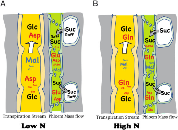 CATS-team (curated by Rozenn Le Hir) tweet media