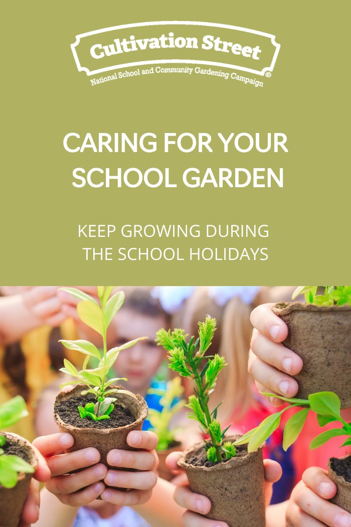 CultivationSt photo