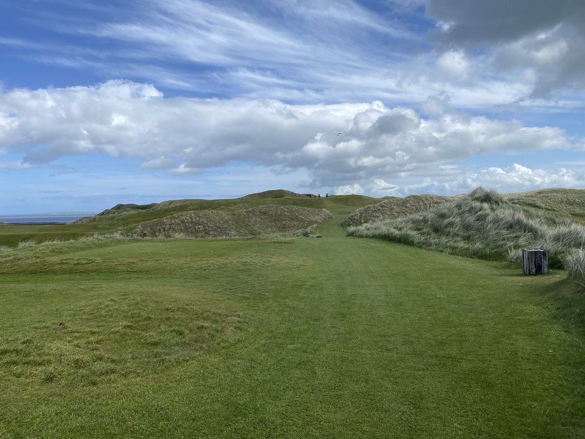 Canadian TinCup tweet media