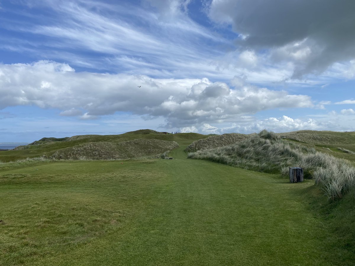 Canadian TinCup tweet media