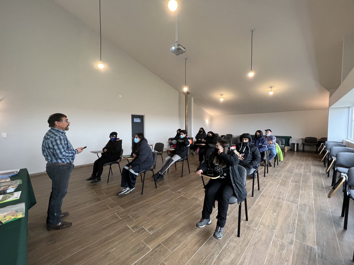 Inia_Kampenaike's tweet photo. 🟢Alumnos de la carrera Técnico en Veterinaria y Producción Agropecuaria del @cftdemagallanes vivieron una interesante jornada en #Kampenaike de la mano de Salvador Reyes, @FranciscoSalesZ y Camila Sandoval, quienes les mostraron el manejo que se realiza con ovinos y bovinos. https://t.co/pzazb6AJ2N