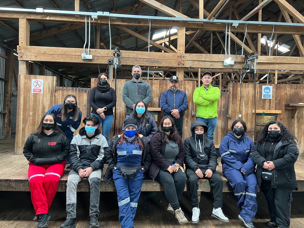 Inia_Kampenaike's tweet photo. 🟢Alumnos de la carrera Técnico en Veterinaria y Producción Agropecuaria del @cftdemagallanes vivieron una interesante jornada en #Kampenaike de la mano de Salvador Reyes, @FranciscoSalesZ y Camila Sandoval, quienes les mostraron el manejo que se realiza con ovinos y bovinos. https://t.co/pzazb6AJ2N