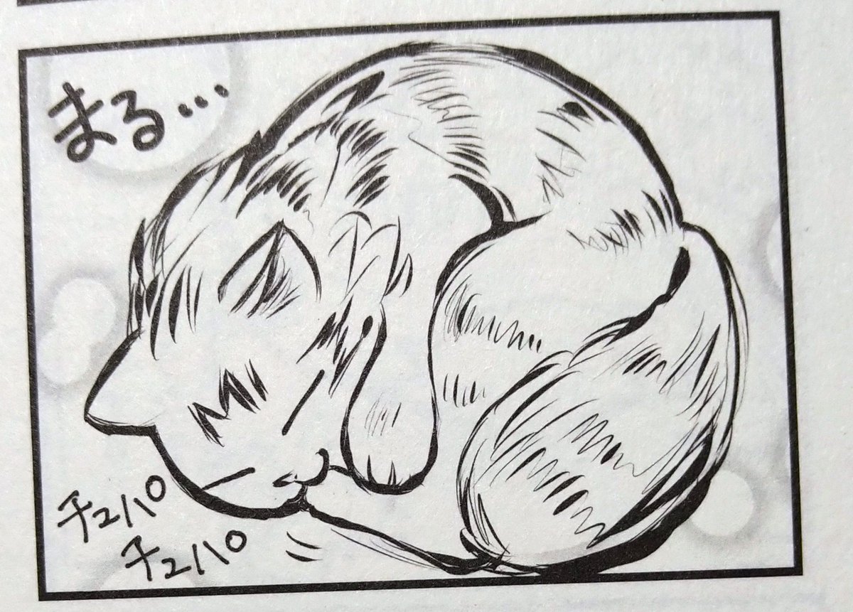 保護猫チャリティー猫ちゃんアンソロ!😺第1版が当日完売してましたが、再販始まりました。
すぐこうなっちゃう猫ちゃんの漫画で参加しています。
➡Booth(自家通販)https://t.co/3eOeszqypv
➡ピコ通販
https://t.co/r5fKhtUb0X
#チャリティー猫アンソロ