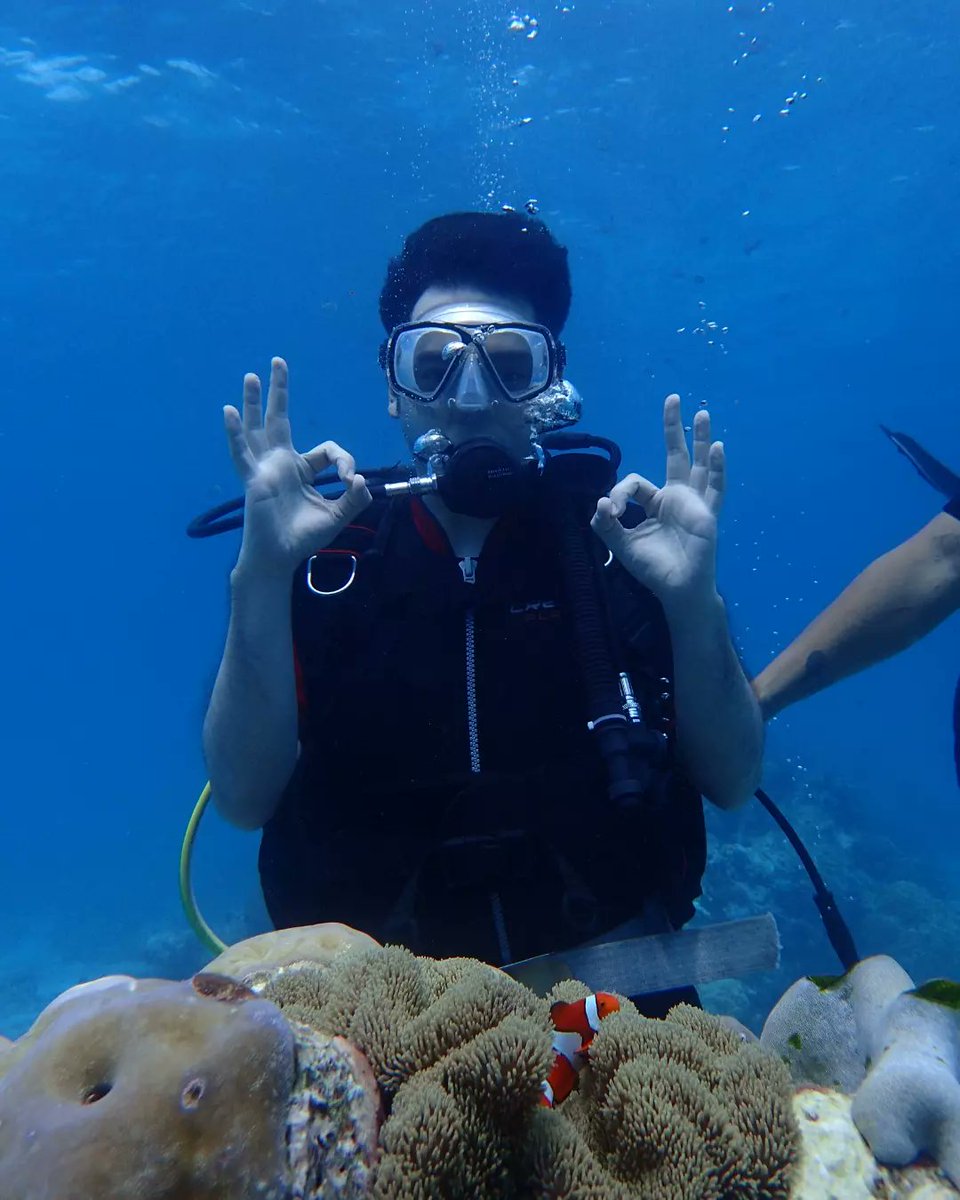 averagejohn314's tweet photo. Finding Nemo 🐠 #scubadiving https://t.co/c9zKUhAoDN