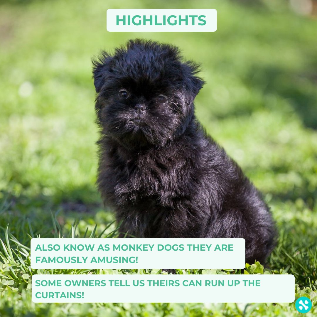 Tailwise 🐾 tweet media