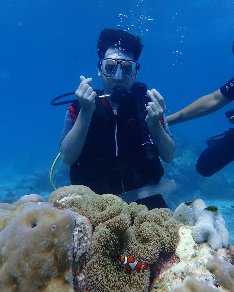 averagejohn314's tweet photo. Finding Nemo 🐠 #scubadiving https://t.co/c9zKUhAoDN