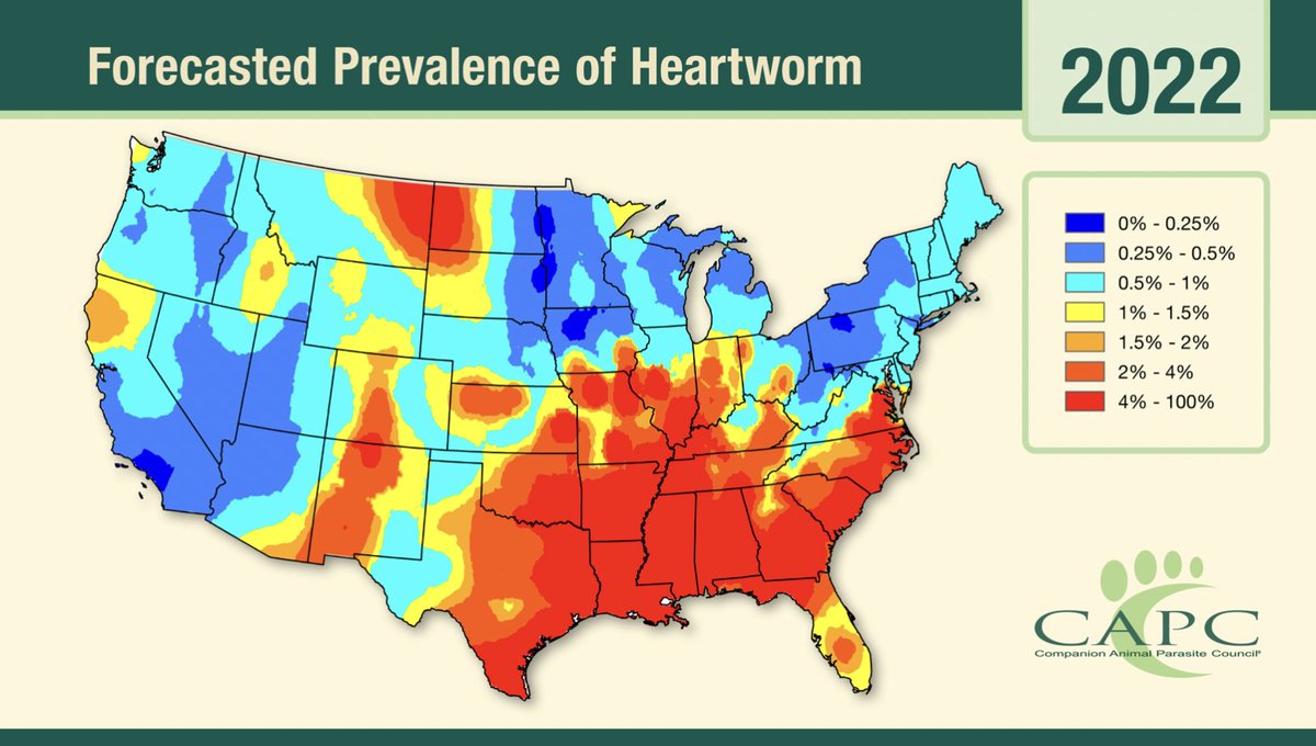 CAPCVet's tweet photo. Veterinarians in states with historically lower prevalence are again cautioned about the increasing risk of heartworm infection, and are encouraged to have a discussion with their clients about the changing prevalence. 

https://t.co/6qSsPGryUJ https://t.co/sc7hcirPPE