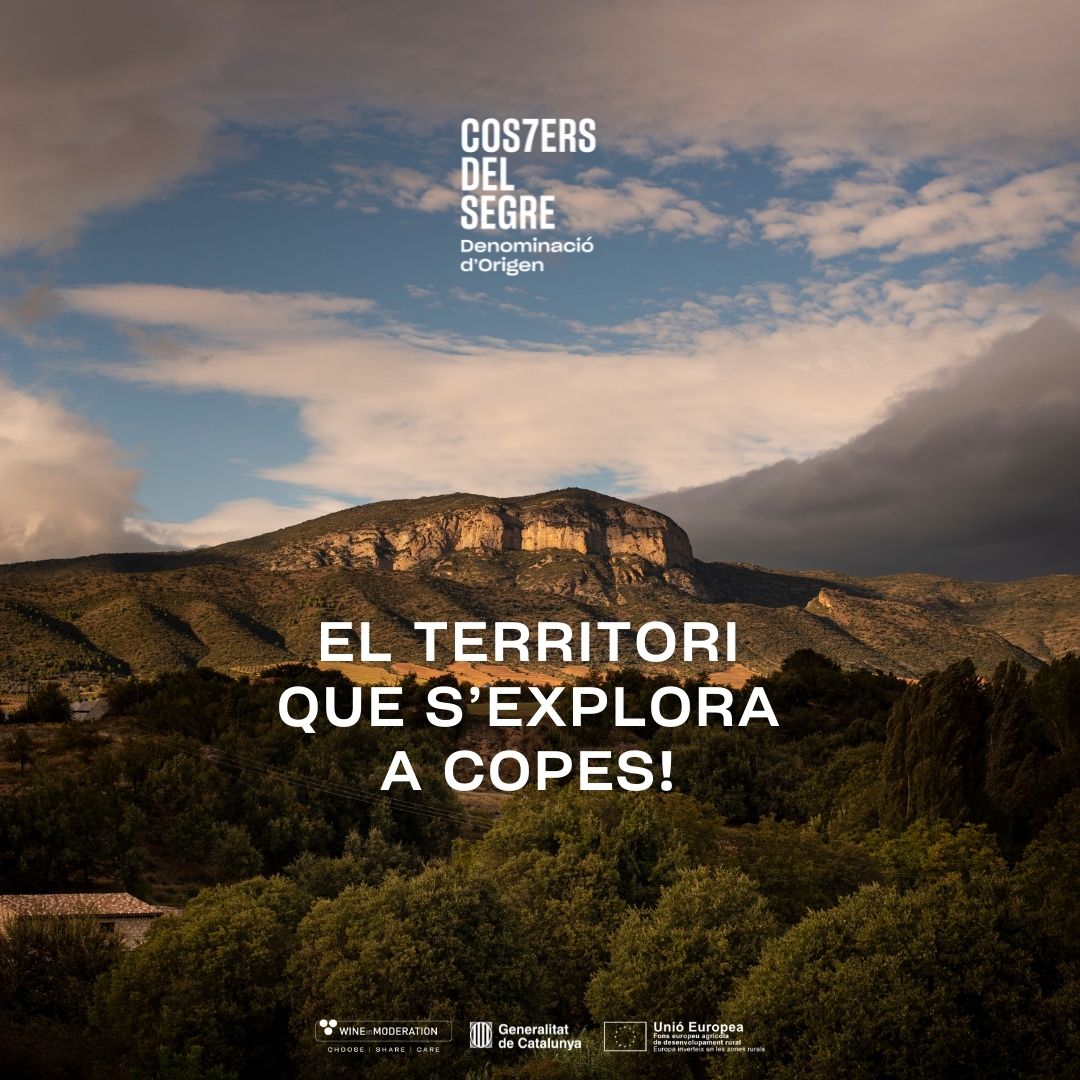 DO_CostersSegre's tweet photo. ✨ Els grans vins neixen d'un somni. Segueix-nos i forma part dels que ja s'han fet realitat.

#docostersdelsegre #wineroute #winelover #imagination https://t.co/4i9WQSsU5T