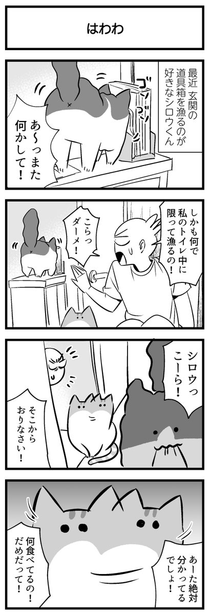 はわわ 