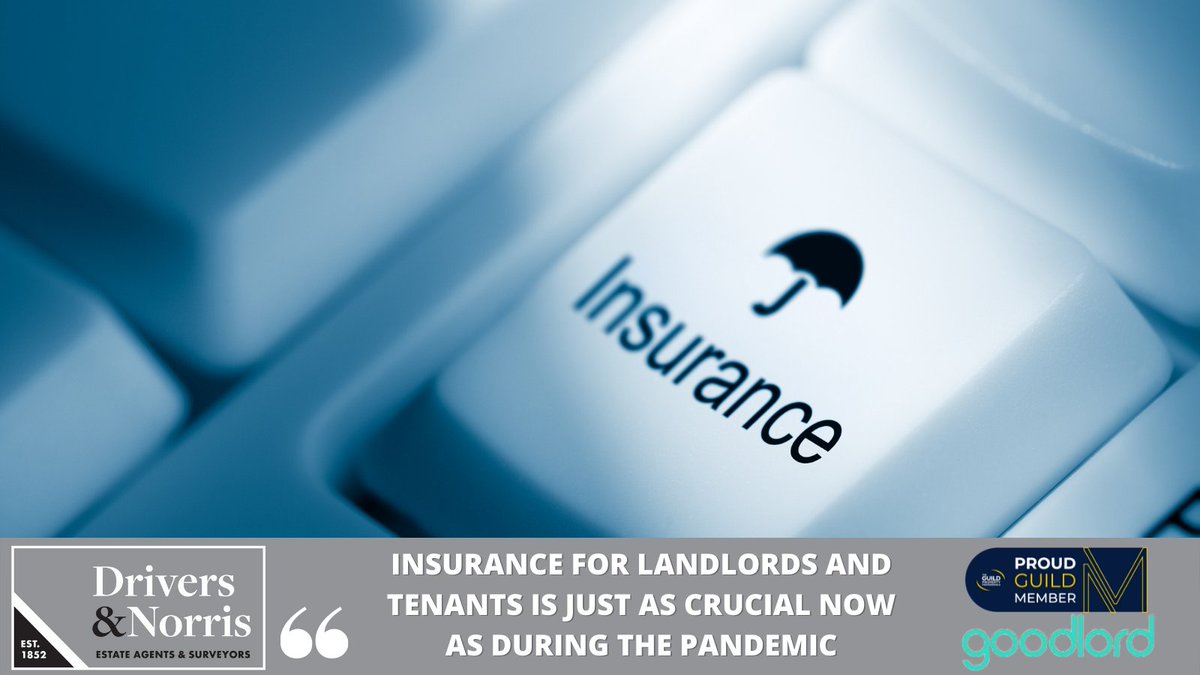drivers_norris's tweet photo. Important to note that because of the rising cost of living, taking insurance for rent protection, tenants' contents insurance, or illness insurance is a sensible approach, according to @sogoodlord &amp; @vouchcouk 👉https://t.co/HVUVpLucpZ 👀 @GuildProperty colleagues https://t.co/fzpkHx4gkj
