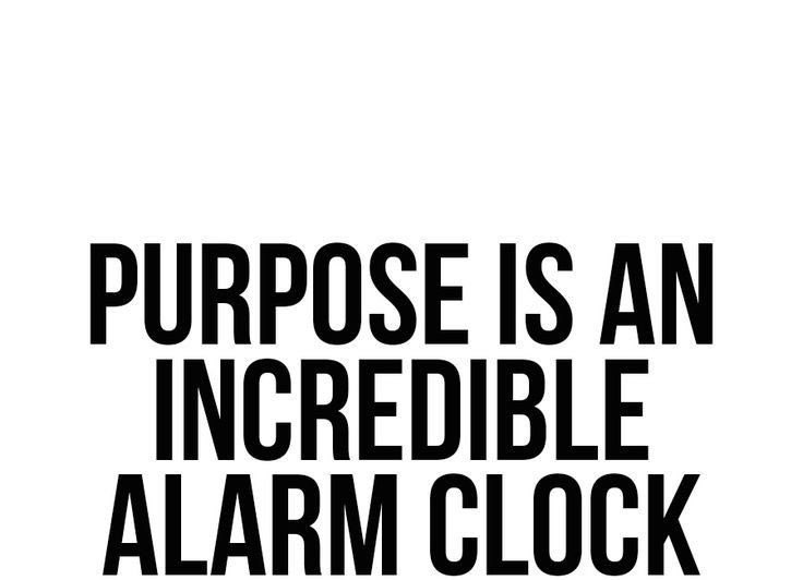 Dianne Schwartz (@dschwartz326) on Twitter photo 