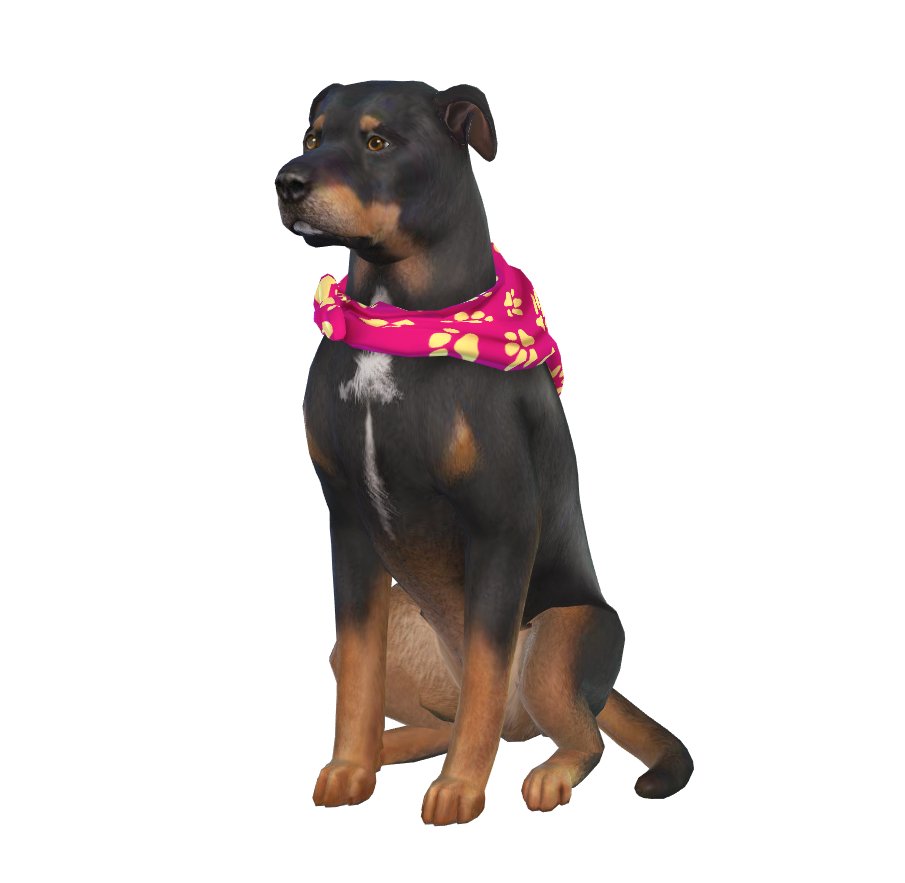 jenjamoo's tweet image. I haven't announced this here yet but Roxie passed away a few months back.

A few of you will remember her from my YouTube vids. She loved sitting and watching me play for hours (days) &amp;amp; now she can be with the community in-game 🥲

Perfect tribute
Thank you @PugownedS ❤️❤️