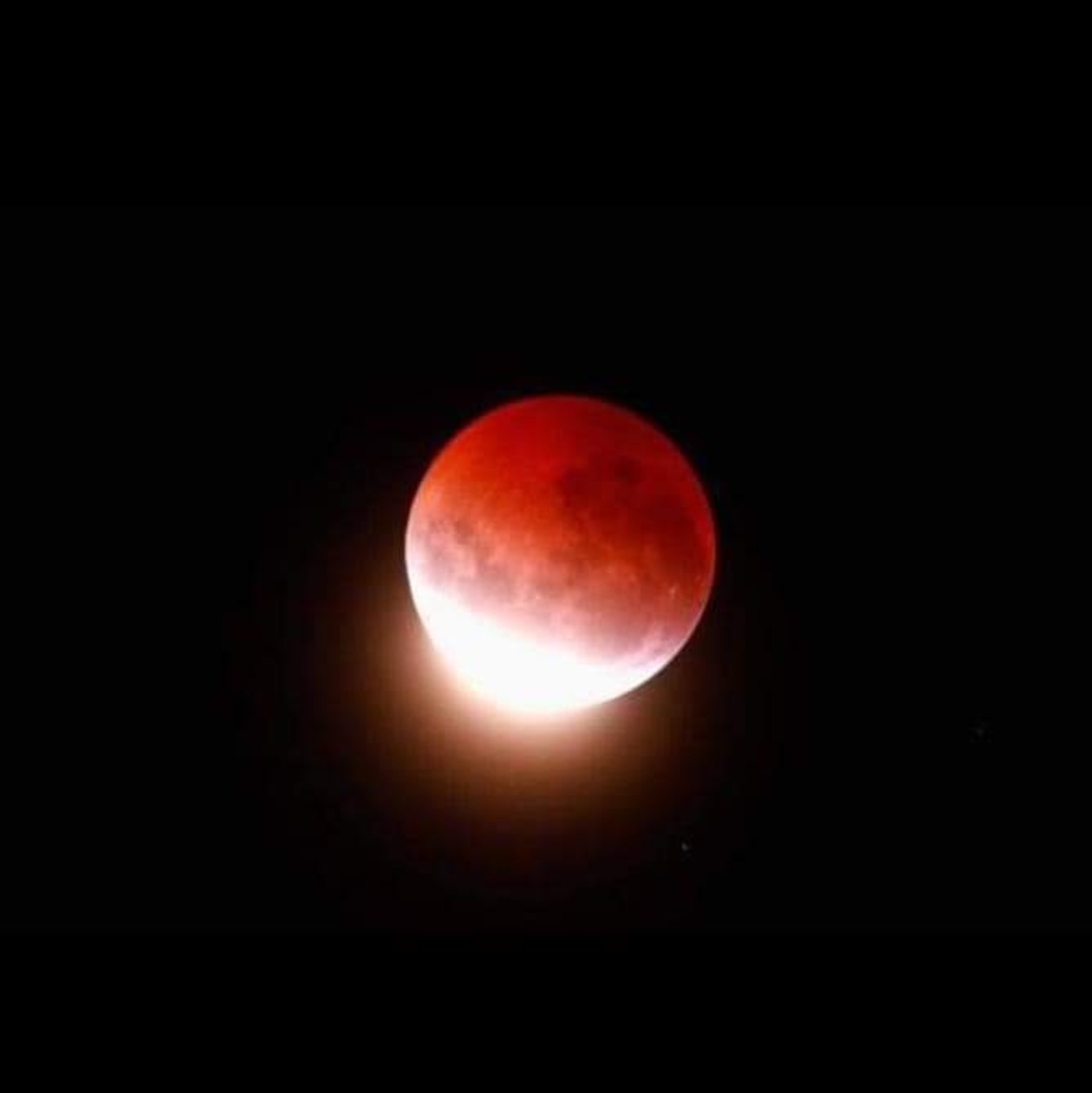 cin_laurel's tweet photo. Que hermosa #LaLuna de anoche verdad?
#EclipseLunar #HermosaLuna
#Enigmatica #Romantica #MeAtrapa https://t.co/pUdcdFNb2I