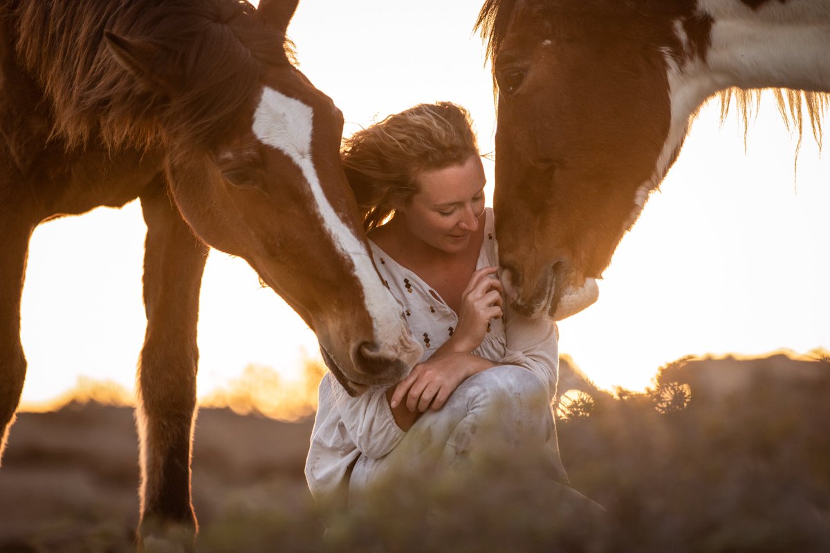 TFhorserescue's tweet photo. Happy #HorseRescueDay ❤️ Today we reflect on all the work that already has been done, but also look ahead at all of the hard work that lies ahead in saving as many of these beautiful souls as possible.

See how you can help 👉https://t.co/ivWm5jCFoN

#horses #horse #horserescue https://t.co/nHoxuqZZSA